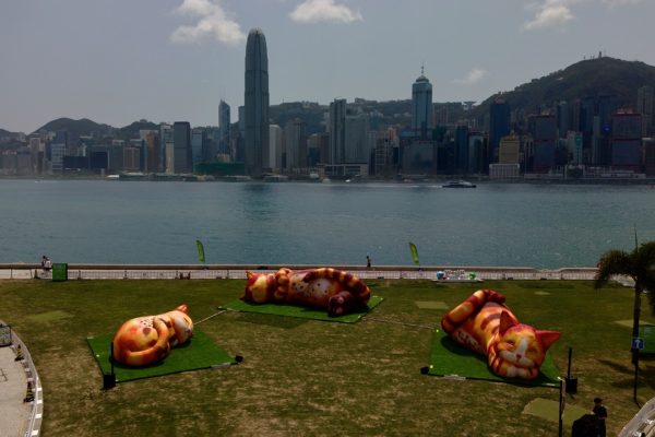Inflatable cat family in front of to HongKong Skyline across Victoria Harbour