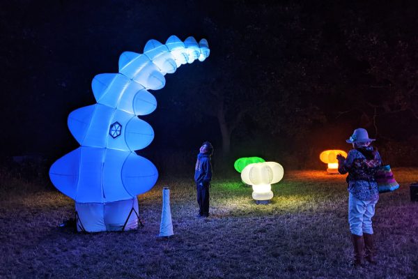 A person stands in front of a large, illuminated, blue inflatable sculpture at night, while another person takes a photo; other glowing sculptures are in the background.